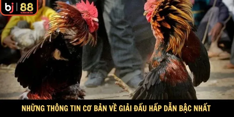 Những thông tin cơ bản về giải đấu hấp dẫn bậc nhất 